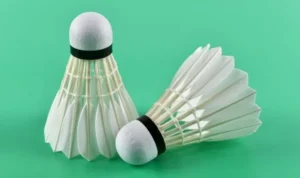 Cầu Lông Tại VNBet77