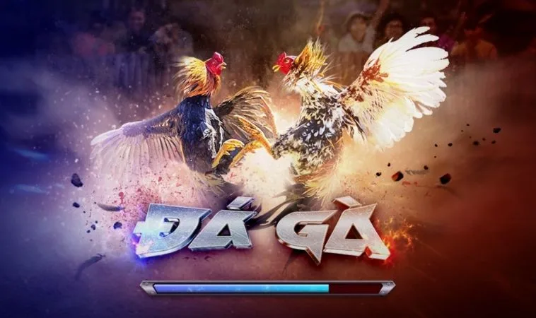 Đá Gà 3D Tại VNBet77