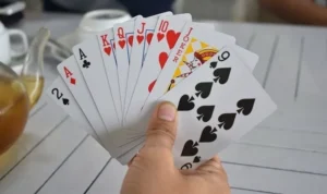 Sắc Tê Nhà Cái VNBet77