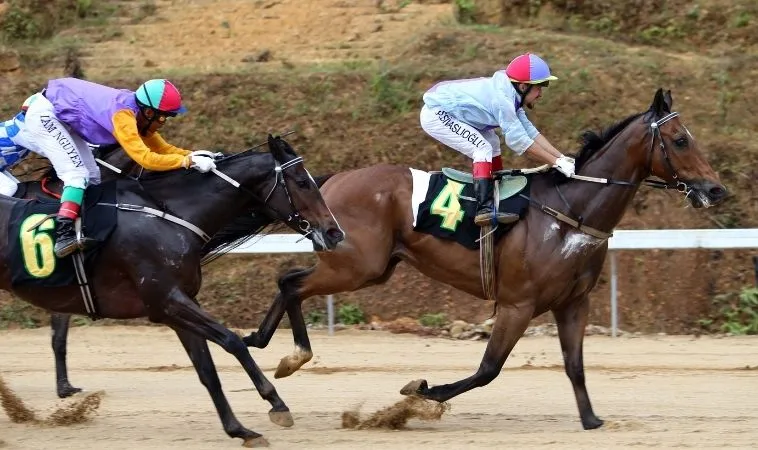 Cần tìm hiểu về bộ môn đua ngựa VNBet77 trước khi tham gia cá cược