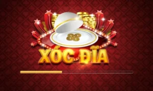 Xóc Đĩa Tại VNBet77